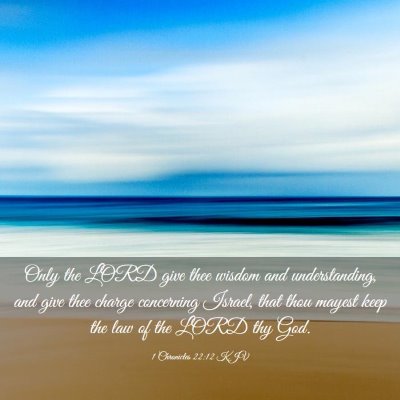 Picture 03 - 1 Chronicles 22:12 KJV - Only the LORD give thee wisdom and understanding, - Bible Verse Picture