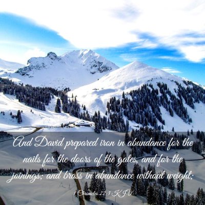 Picture 03 - 1 Chronicles 22:3 KJV - And David prepared iron in abundance for the - Bible Verse Picture