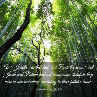 Picture 03 - 1 Chronicles 23:11 KJV - And Jahath was the chief, and Zizah the second: - Bible Verse Picture