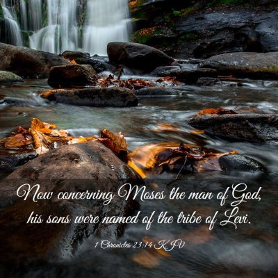 Picture 03 - 1 Chronicles 23:14 KJV - Now concerning Moses the man of God, his sons - Bible Verse Picture