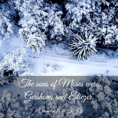 Picture 03 - 1 Chronicles 23:15 KJV - The sons of Moses were, Gershom, and - Bible Verse Picture