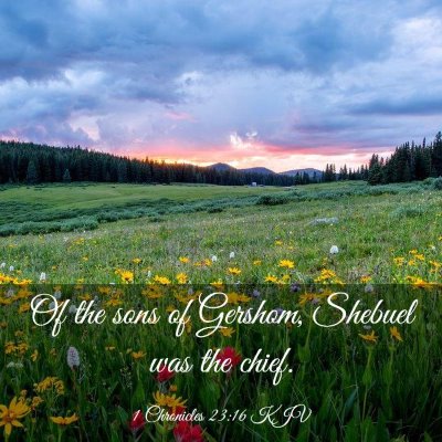 Picture 03 - 1 Chronicles 23:16 KJV - Of the sons of Gershom, Shebuel was the - Bible Verse Picture