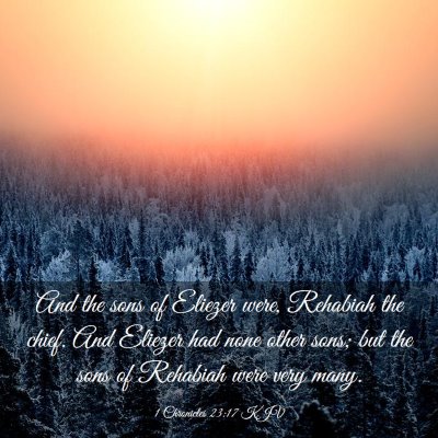 Picture 03 - 1 Chronicles 23:17 KJV - And the sons of Eliezer were, Rehabiah the chief. - Bible Verse Picture