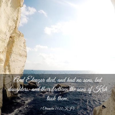 Picture 03 - 1 Chronicles 23:22 KJV - And Eleazar died, and had no sons, but daughters: - Bible Verse Picture