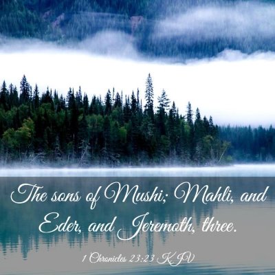 Picture 03 - 1 Chronicles 23:23 KJV - The sons of Mushi; Mahli, and Eder, and Jeremoth, - Bible Verse Picture