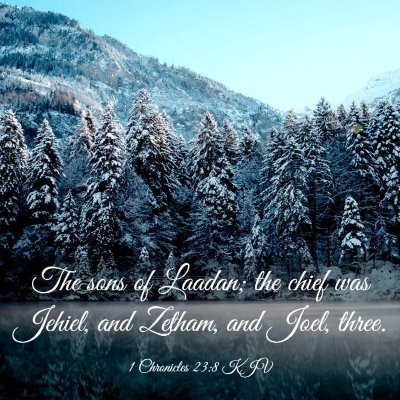 Picture 03 - 1 Chronicles 23:8 KJV - The sons of Laadan; the chief was Jehiel, and - Bible Verse Picture