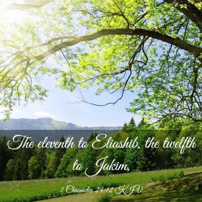 Picture 03 - 1 Chronicles 24:12 KJV - The eleventh to Eliashib, the twelfth to - Bible Verse Picture