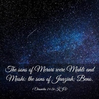 Picture 03 - 1 Chronicles 24:26 KJV - The sons of Merari were Mahli and Mushi: the sons - Bible Verse Picture