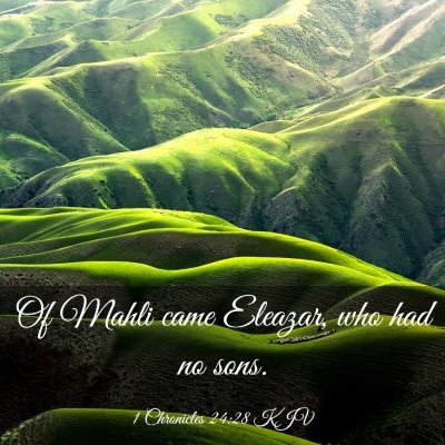Picture 03 - 1 Chronicles 24:28 KJV - Of Mahli came Eleazar, who had no - Bible Verse Picture