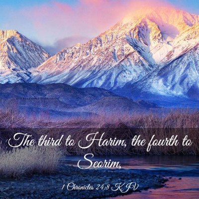Picture 03 - 1 Chronicles 24:8 KJV - The third to Harim, the fourth to - Bible Verse Picture