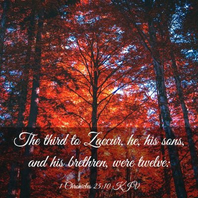 Picture 03 - 1 Chronicles 25:10 KJV - The third to Zaccur, he, his sons, and his - Bible Verse Picture