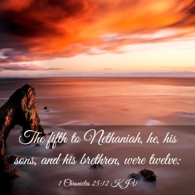Picture 03 - 1 Chronicles 25:12 KJV - The fifth to Nethaniah, he, his sons, and his - Bible Verse Picture
