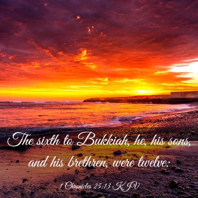 Picture 03 - 1 Chronicles 25:13 KJV - The sixth to Bukkiah, he, his sons, and his - Bible Verse Picture