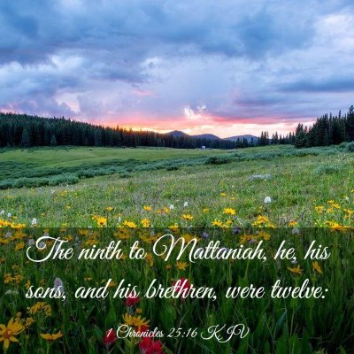 Picture 03 - 1 Chronicles 25:16 KJV - The ninth to Mattaniah, he, his sons, and his - Bible Verse Picture