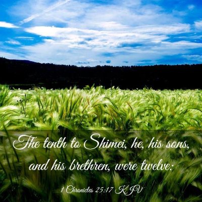 Picture 03 - 1 Chronicles 25:17 KJV - The tenth to Shimei, he, his sons, and his - Bible Verse Picture