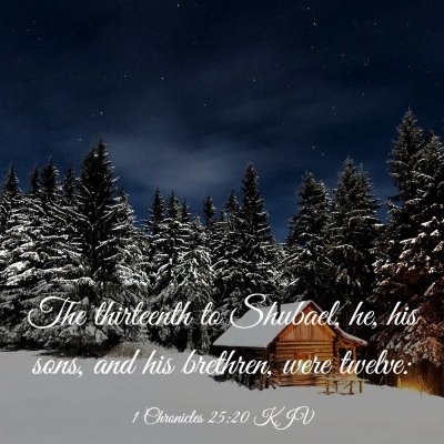 Picture 03 - 1 Chronicles 25:20 KJV - The thirteenth to Shubael, he, his sons, and his - Bible Verse Picture