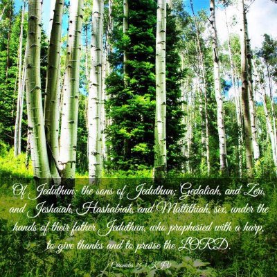 Picture 03 - 1 Chronicles 25:3 KJV - Of Jeduthun: the sons of Jeduthun; Gedaliah, and - Bible Verse Picture