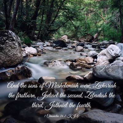 Picture 03 - 1 Chronicles 26:2 KJV - And the sons of Meshelemiah were, Zechariah the - Bible Verse Picture