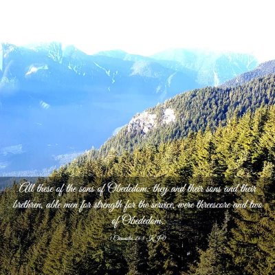 Picture 03 - 1 Chronicles 26:8 KJV - All these of the sons of Obededom: they and their - Bible Verse Picture