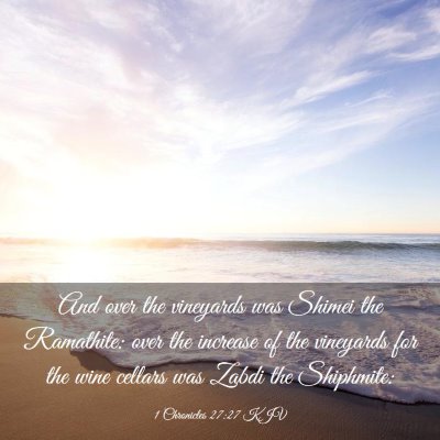 Picture 03 - 1 Chronicles 27:27 KJV - And over the vineyards was Shimei the Ramathite: - Bible Verse Picture