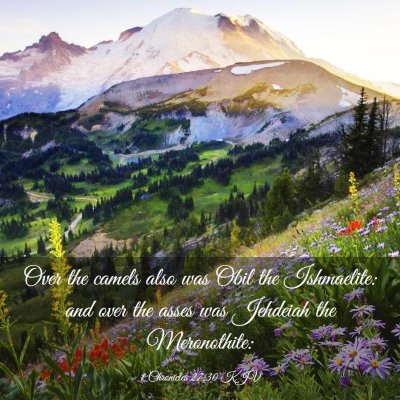 Picture 03 - 1 Chronicles 27:30 KJV - Over the camels also was Obil the Ishmaelite: and - Bible Verse Picture