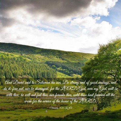 Picture 03 - 1 Chronicles 28:20 KJV - And David said to Solomon his son, Be strong and - Bible Verse Picture