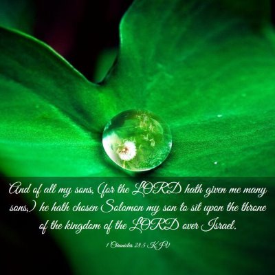 Picture 03 - 1 Chronicles 28:5 KJV - And of all my sons, (for the LORD hath given me - Bible Verse Picture