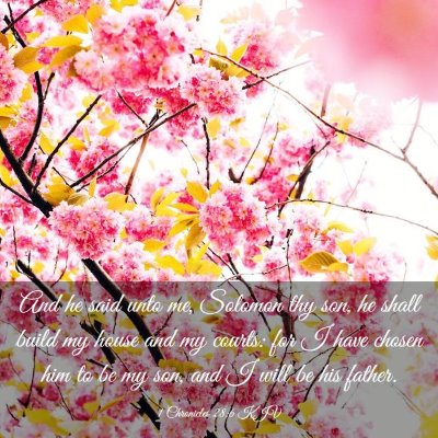 Picture 03 - 1 Chronicles 28:6 KJV - And he said unto me, Solomon thy son, he shall - Bible Verse Picture