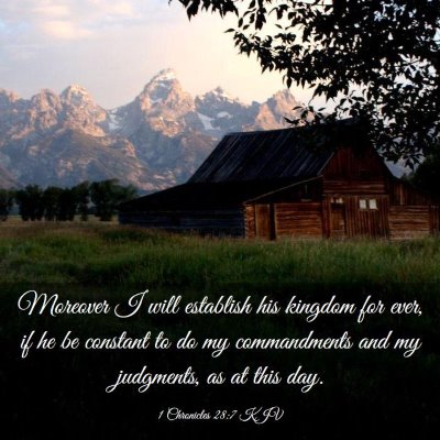 Picture 03 - 1 Chronicles 28:7 KJV - Moreover I will establish his kingdom for ever, - Bible Verse Picture