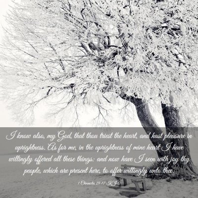 Picture 03 - 1 Chronicles 29:17 KJV - I know also, my God, that thou triest the heart, - Bible Verse Picture