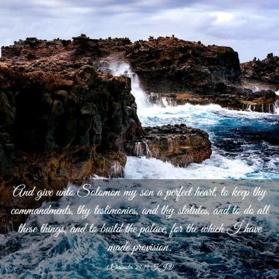 Picture 03 - 1 Chronicles 29:19 KJV - And give unto Solomon my son a perfect heart, to - Bible Verse Picture