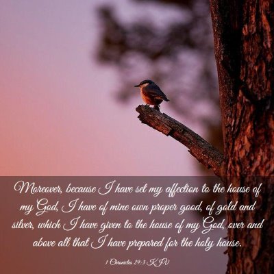 Picture 03 - 1 Chronicles 29:3 KJV - Moreover, because I have set my affection to the - Bible Verse Picture