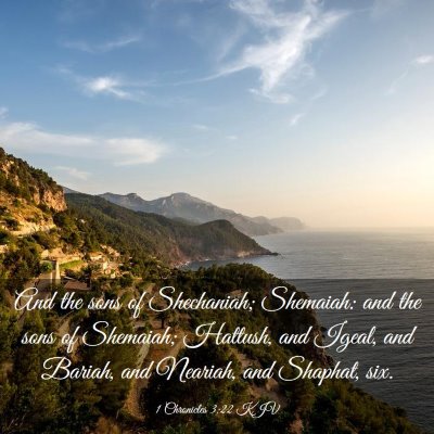 Picture 03 - 1 Chronicles 3:22 KJV - And the sons of Shechaniah; Shemaiah: and the - Bible Verse Picture