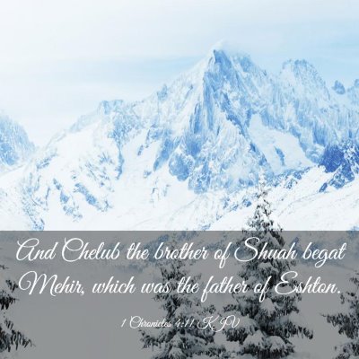 Picture 03 - 1 Chronicles 4:11 KJV - And Chelub the brother of Shuah begat Mehir, - Bible Verse Picture