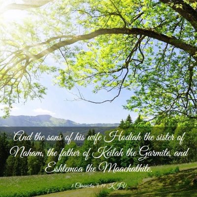 Picture 03 - 1 Chronicles 4:19 KJV - And the sons of his wife Hodiah the sister of - Bible Verse Picture