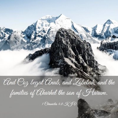 Picture 03 - 1 Chronicles 4:8 KJV - And Coz begat Anub, and Zobebah, and the families - Bible Verse Picture