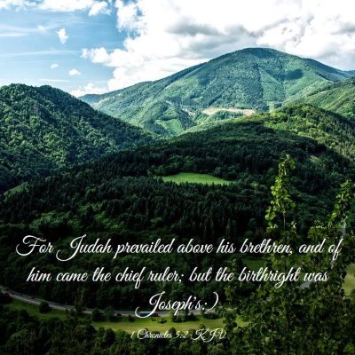Picture 03 - 1 Chronicles 5:2 KJV - For Judah prevailed above his brethren, and of - Bible Verse Picture