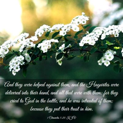 Picture 03 - 1 Chronicles 5:20 KJV - And they were helped against them, and the - Bible Verse Picture