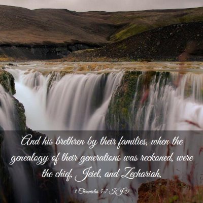Picture 03 - 1 Chronicles 5:7 KJV - And his brethren by their families, when the - Bible Verse Picture