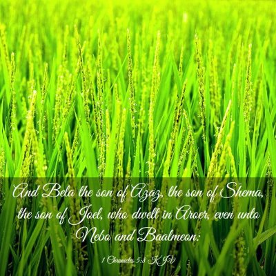 Picture 03 - 1 Chronicles 5:8 KJV - And Bela the son of Azaz, the son of Shema, the - Bible Verse Picture