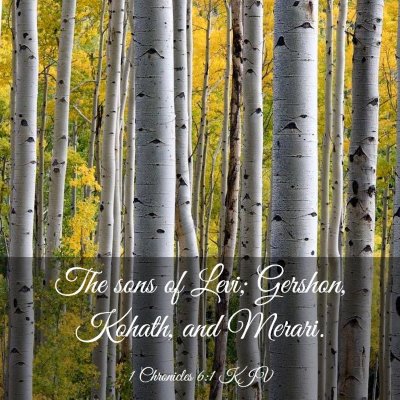 Picture 03 - 1 Chronicles 6:1 KJV - The sons of Levi; Gershon, Kohath, and - Bible Verse Picture