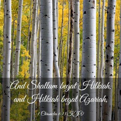 Picture 03 - 1 Chronicles 6:13 KJV - And Shallum begat Hilkiah, and Hilkiah begat - Bible Verse Picture