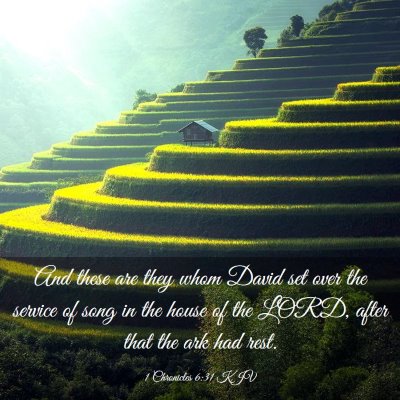 Picture 03 - 1 Chronicles 6:31 KJV - And these are they whom David set over the - Bible Verse Picture
