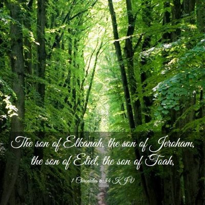 Picture 03 - 1 Chronicles 6:34 KJV - The son of Elkanah, the son of Jeroham, the son - Bible Verse Picture