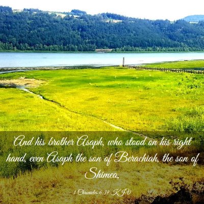 Picture 03 - 1 Chronicles 6:39 KJV - And his brother Asaph, who stood on his right - Bible Verse Picture
