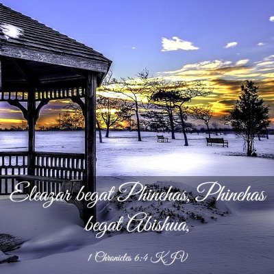 Picture 03 - 1 Chronicles 6:4 KJV - Eleazar begat Phinehas, Phinehas begat - Bible Verse Picture