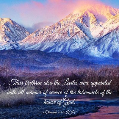 Picture 03 - 1 Chronicles 6:48 KJV - Their brethren also the Levites were appointed - Bible Verse Picture