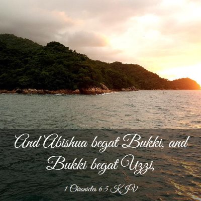 Picture 03 - 1 Chronicles 6:5 KJV - And Abishua begat Bukki, and Bukki begat - Bible Verse Picture