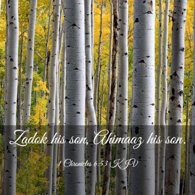 Picture 03 - 1 Chronicles 6:53 KJV - Zadok his son, Ahimaaz his - Bible Verse Picture