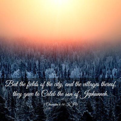 Picture 03 - 1 Chronicles 6:56 KJV - But the fields of the city, and the villages - Bible Verse Picture